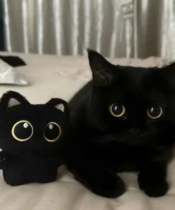 Adorable gato negro de peluche de 10 cm