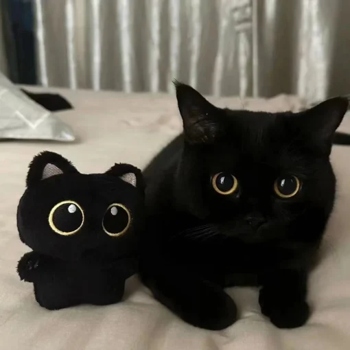 Adorable gato negro de peluche de 10 cm