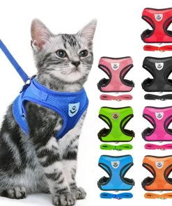 Arnés para gato, chaleco, correa para caminar, correa para cachorros, collar, poliéster, ajustable, accesorios para mascotas pequeñas y medianas