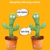 Cactus bailarín musical interactivo