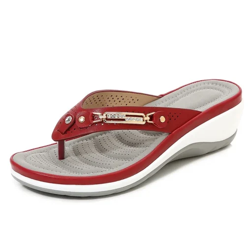 Chanclas Mujer 2023 Moda Verano