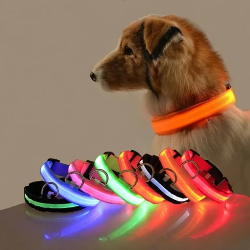 Collar de perro luminoso fluorescente de nailon con luz LED LED para seguridad nocturna