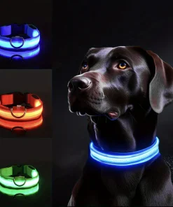 Collar reflectante LED para perros