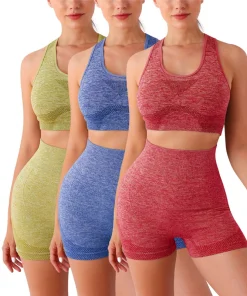 Conjunto de Yoga Seamless 2PCS para Mujer