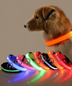 Correa de perro fluorescente LED intermitente