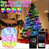 Luz de Hadas LED 50 Cont. APP Control WS2812B RGB