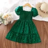 Vestido de Princesa Verde Oscuro Niñas Niñas de 2 a 6 Años