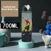 Botella de agua de pajita de estrella de fútbol de 700 ml