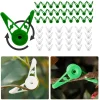 Clips para entrenar ramas de plantas