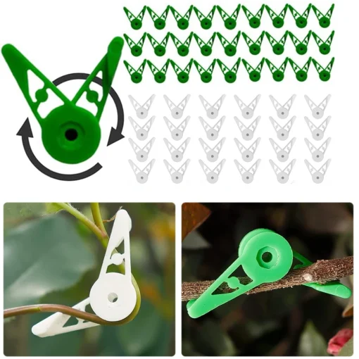 Clips para entrenar ramas de plantas