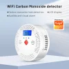 Detector de Monóxido de Carbono Inteligente WiFi 85 dB