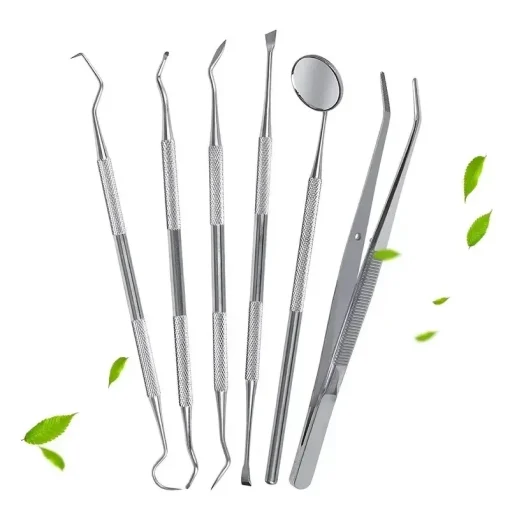 Kit de Limpieza Dental de Acero Inox.