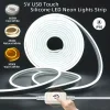 Luz de neón LED regulable táctil de 5 V USB