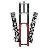 Pegatinas tenedor Horquilla MTB 2020 Rockshox