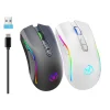 Ratón gaming inalámbrico RGB de 2,4G recargable y ergonómico para portátil PC