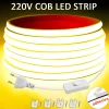 Tira LED 220V Alta Luminosidad COB Impermeable