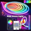 Tira de luz de neón RGB 5V 1M 2M 3M 5M